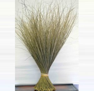Balais traditionnel