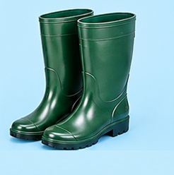 Bottes